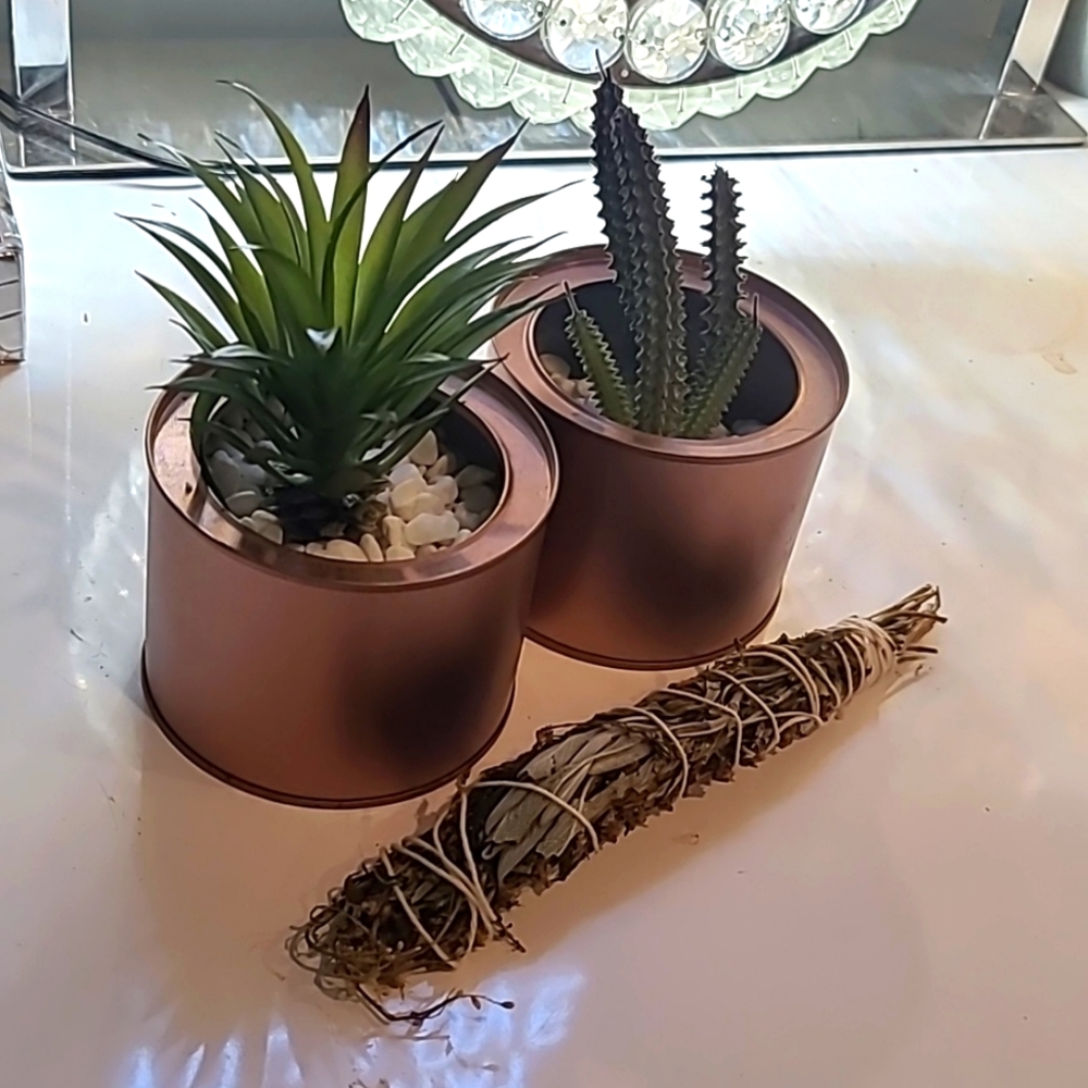 2 Rose Gold Boho Faux Plants w/ Free Sage!